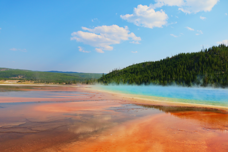 Illustration for article titled Photodump: Yellowstone National Park